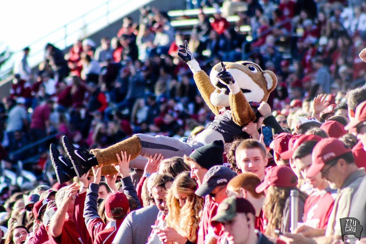 10 Times the Cougs weren’t the only ones who “Couged it”