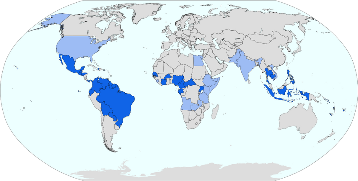 The Current State of the Zika Outbreak