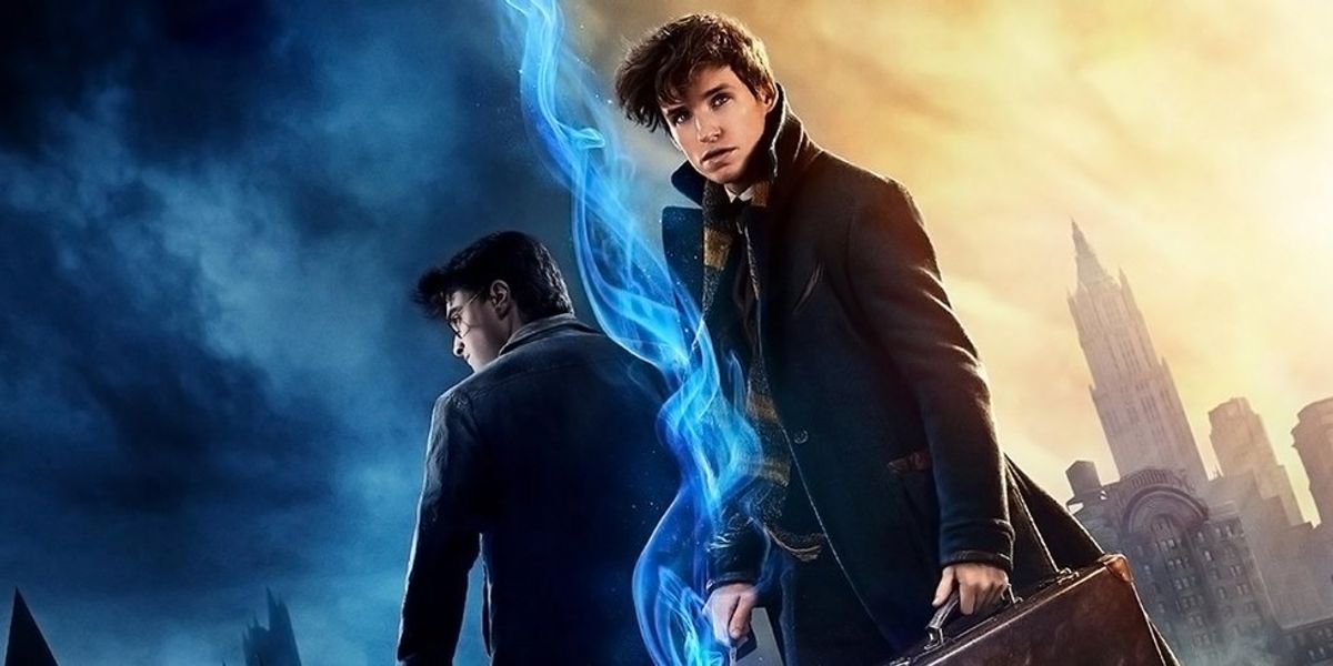 Harry Potter Vs. Newt Scamander