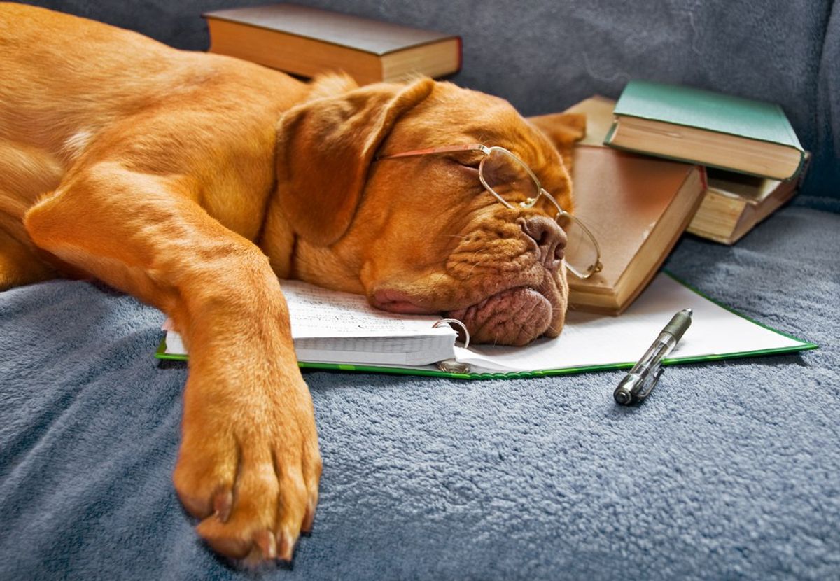 10 Ways To Procrastinate Without Feeling Like You Are