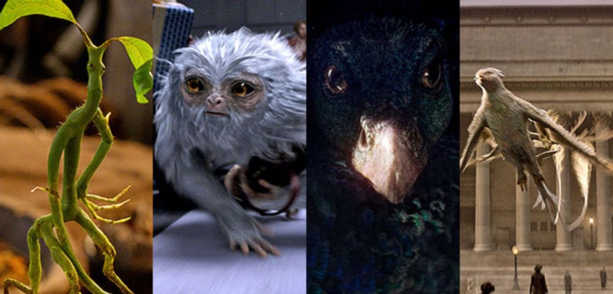 10 Fantastic Beasts Everyone Will Love