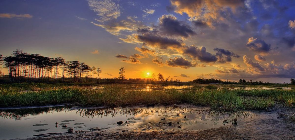 Florida's Freshwater Systems