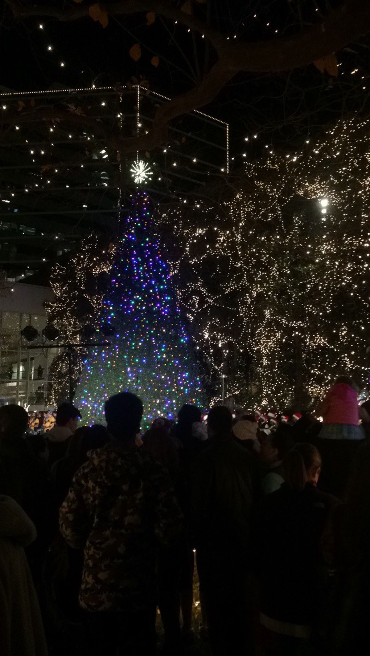 RVA's 2016 Grand Illumination