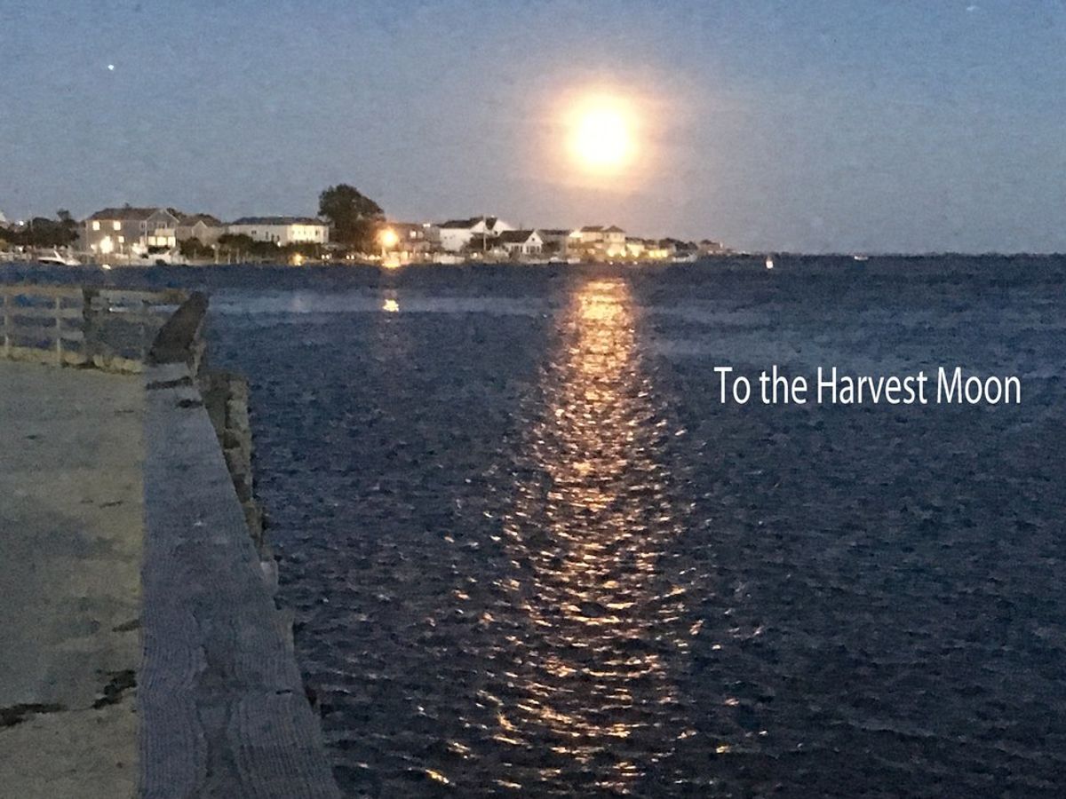 To The Harvest Moon