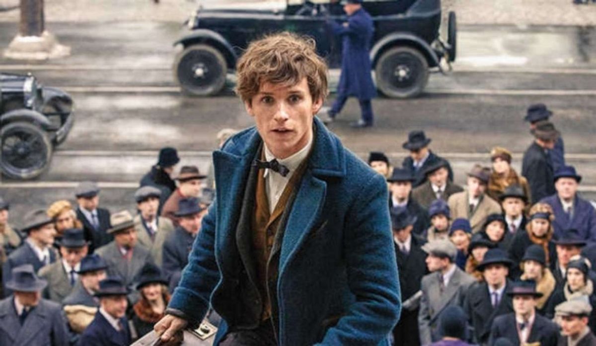 Why The World Should Be More Like Newt Scamander