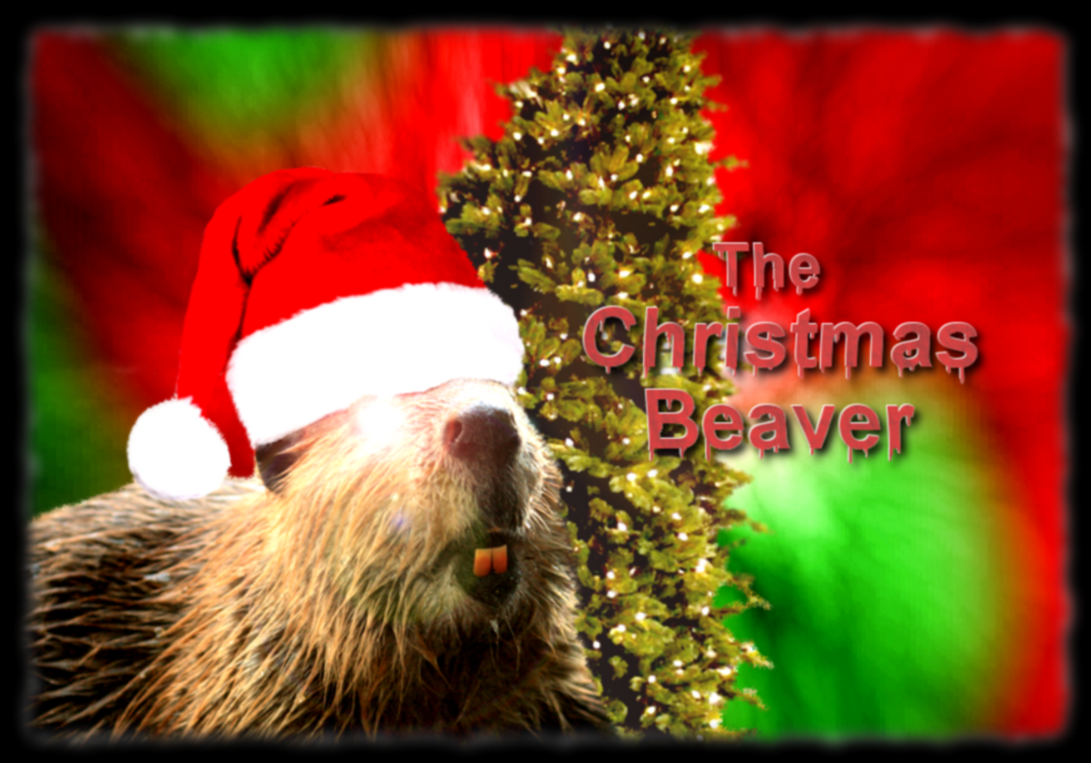 The Christmas Beaver Exists!