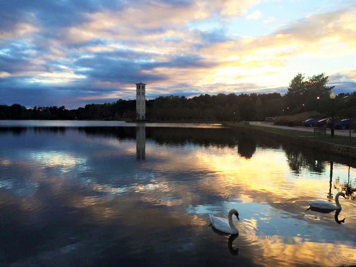11 Things You Miss About Furman On Break