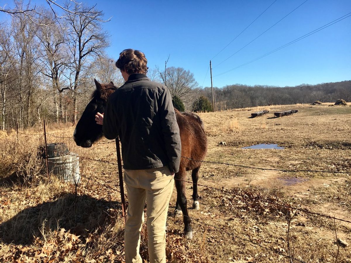 A Day On The Farm