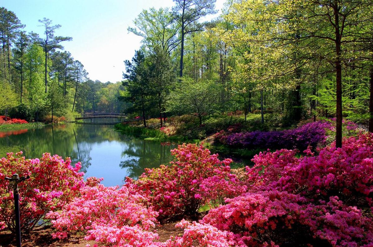 A Recap Of My Trip To Callaway Gardens