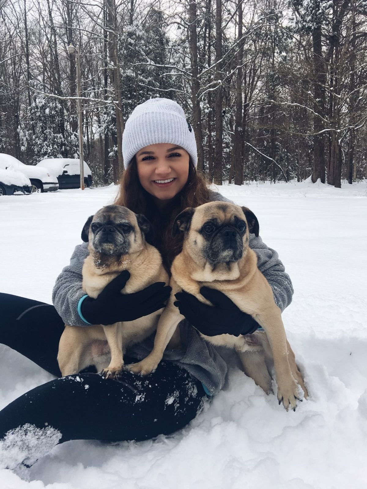 A Pug Snow Day