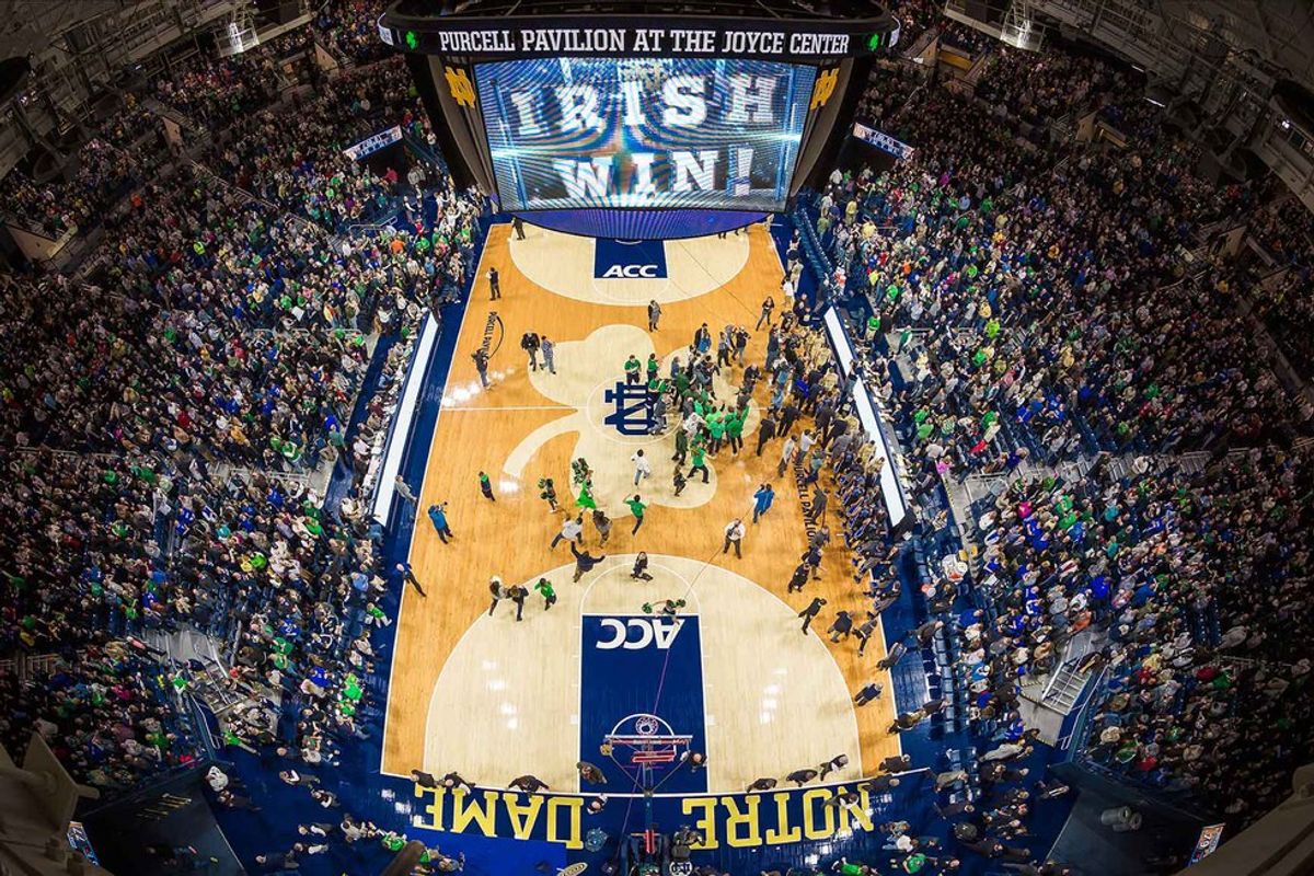 The Fighting Irish Fight Back