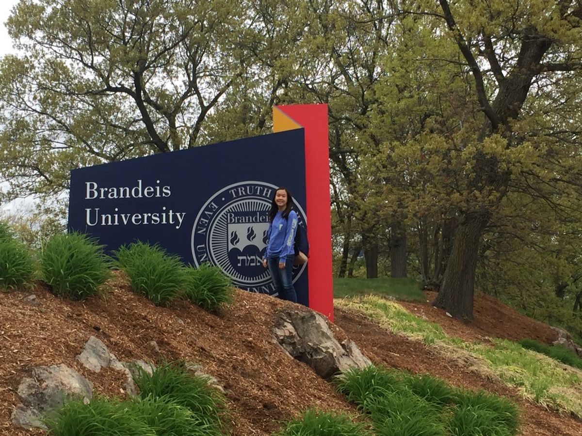 10 Questions I Have For Brandeis University