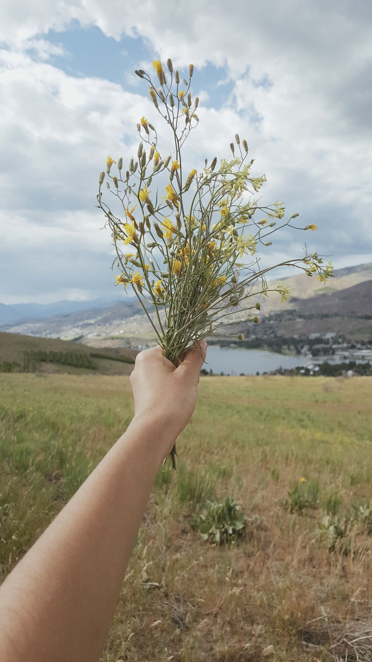 What I Learned Growing Up In Lake Chelan