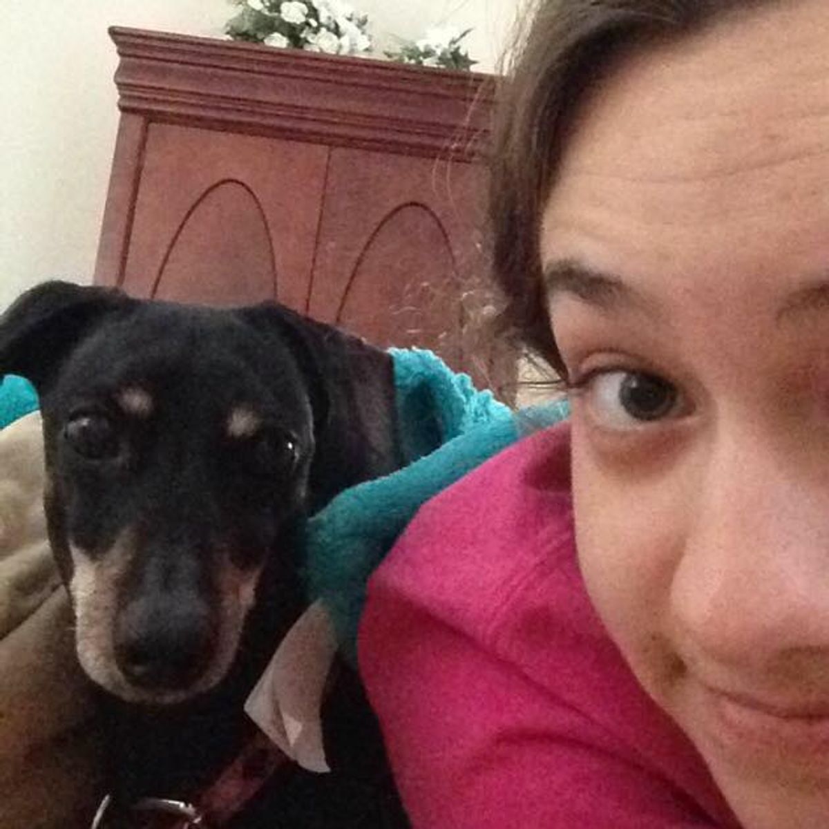 10 Reasons Why Adopting A Dog In College Was The Best Decision I Ever Made