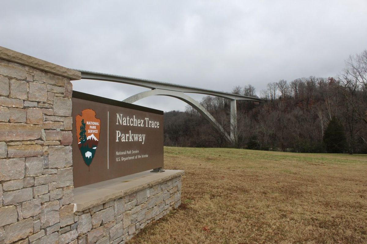 The Natchez Trace