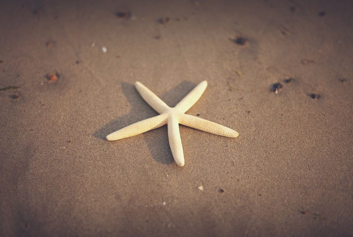 Life: A Starfish Story