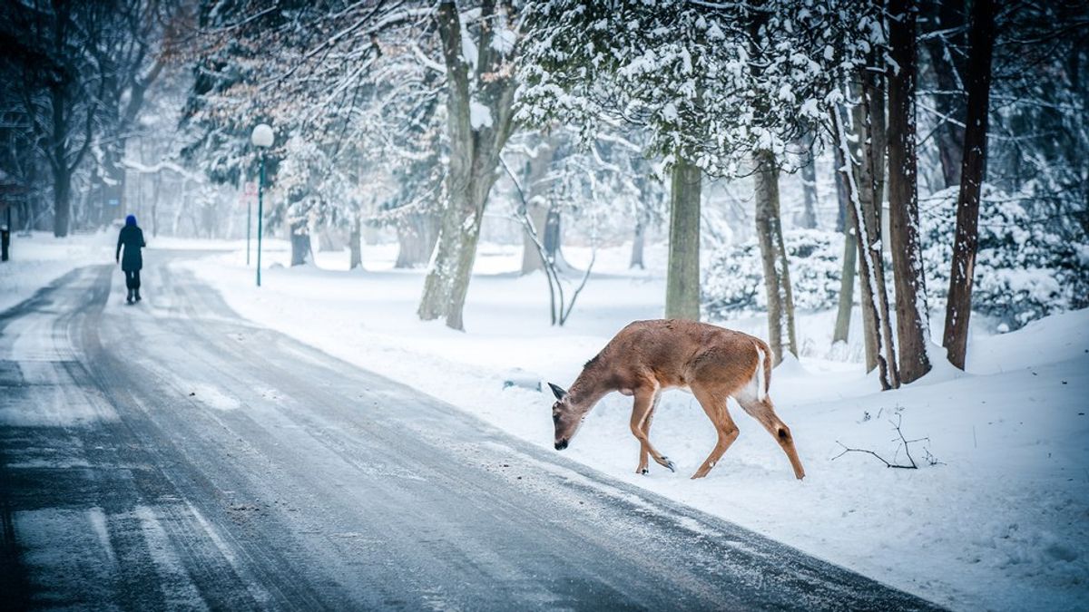 Bitter About Winter