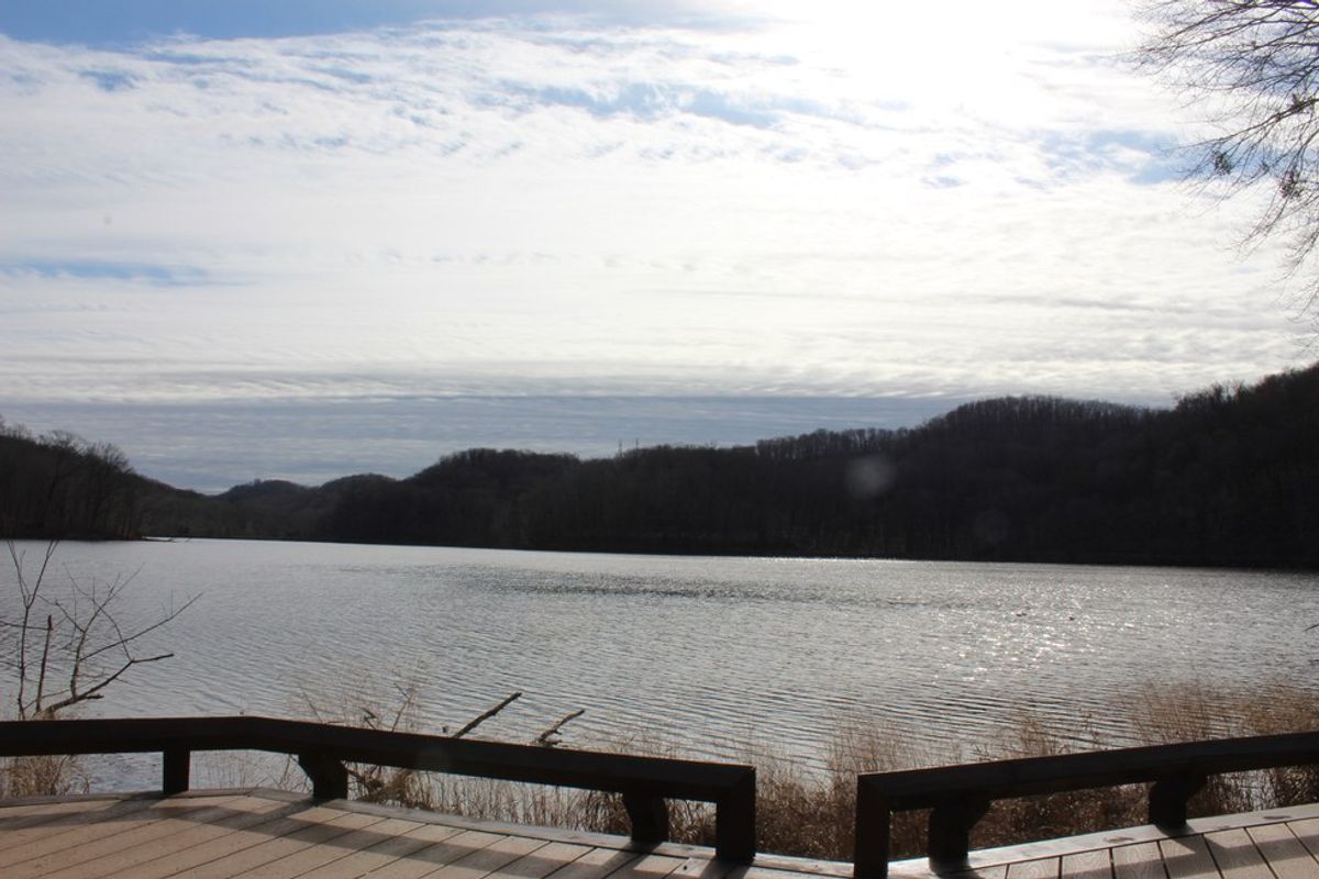 Radnor Lake