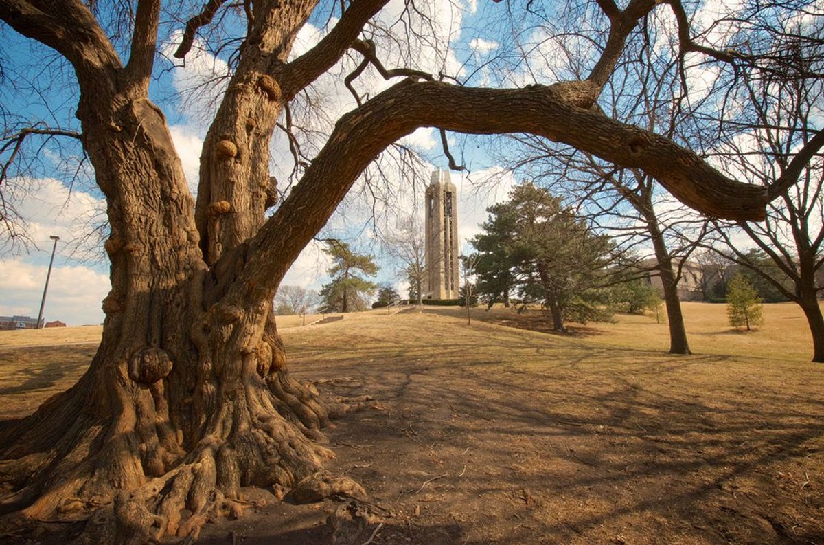 6 University Of Kansas Women Speak Out In Wake Of Assault