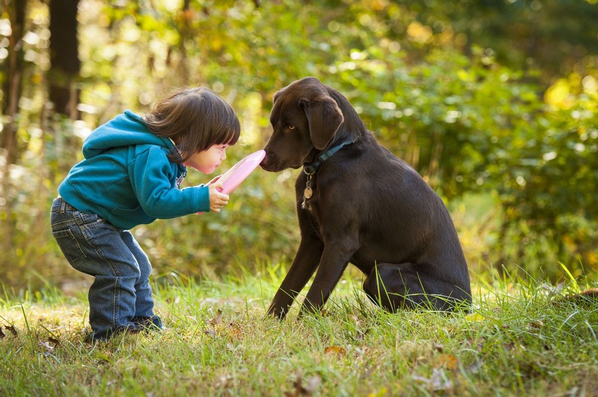 11 Ways to Tell if Your Best Friend is a Dog