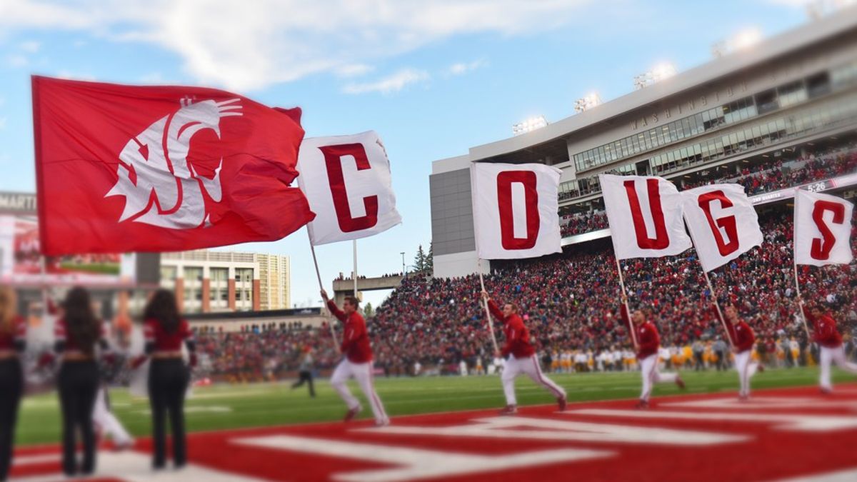 What Does It Mean To Be A Coug?