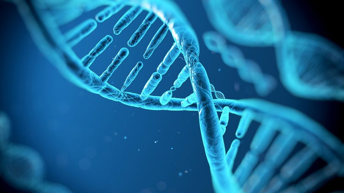 Clarifying Your Identity Through DNA Testing