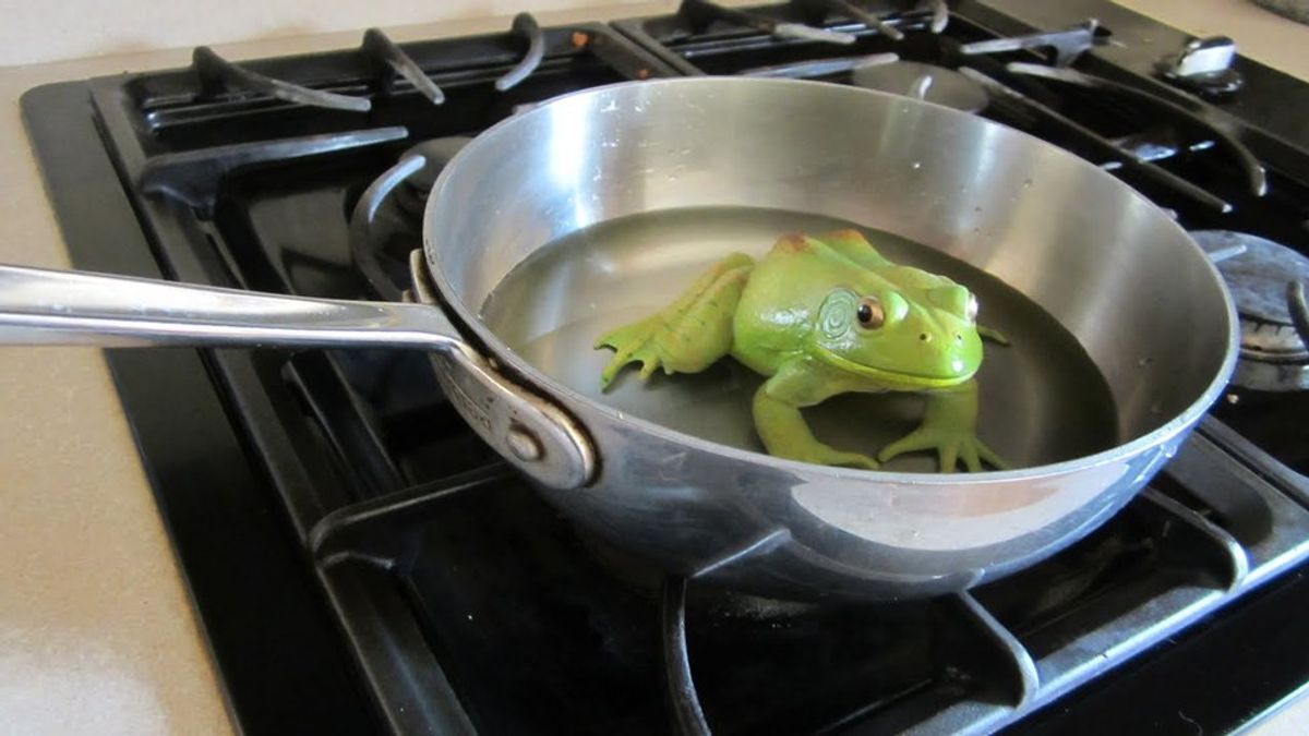 Boil The Frog