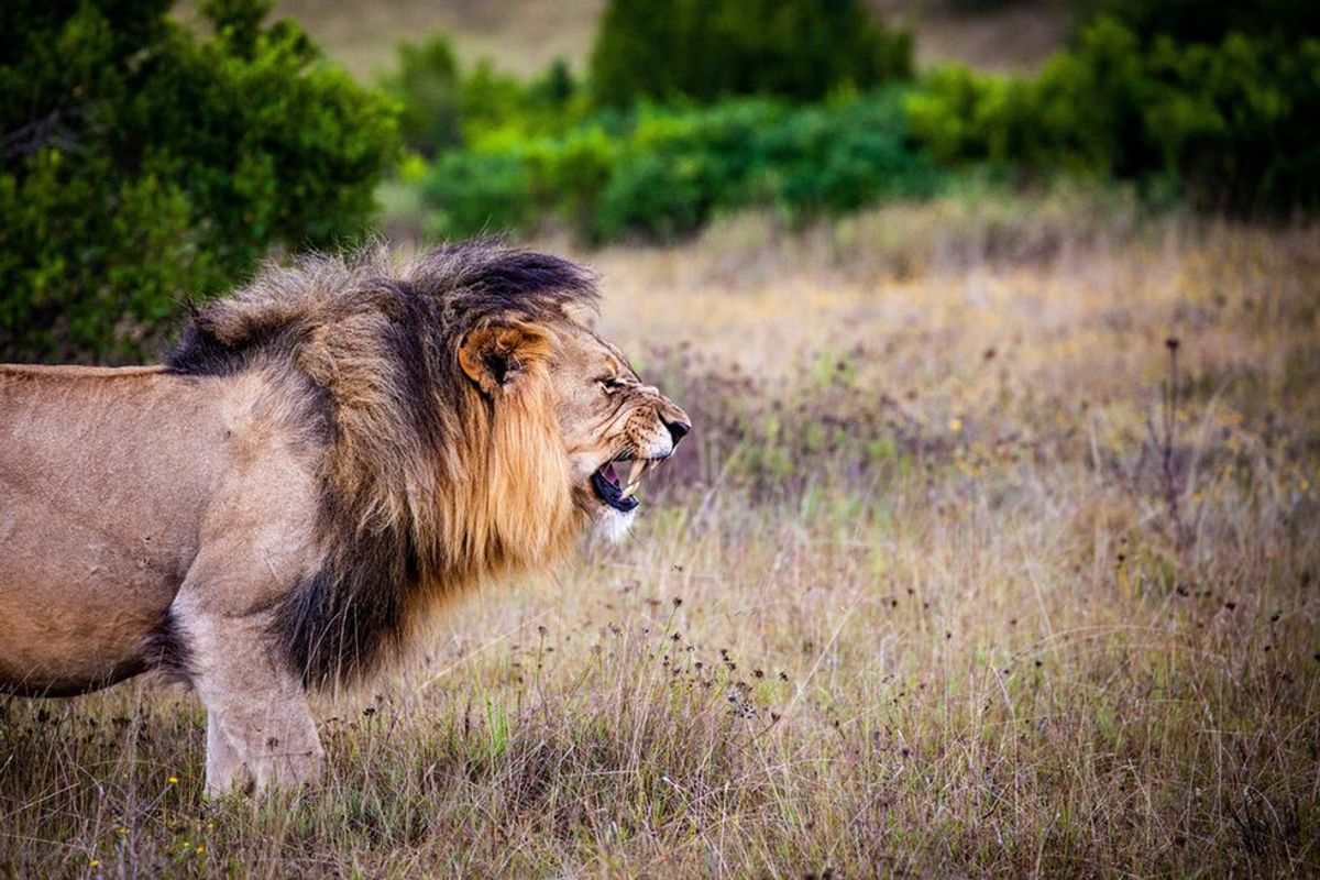 5 Stages Of Being Hangry