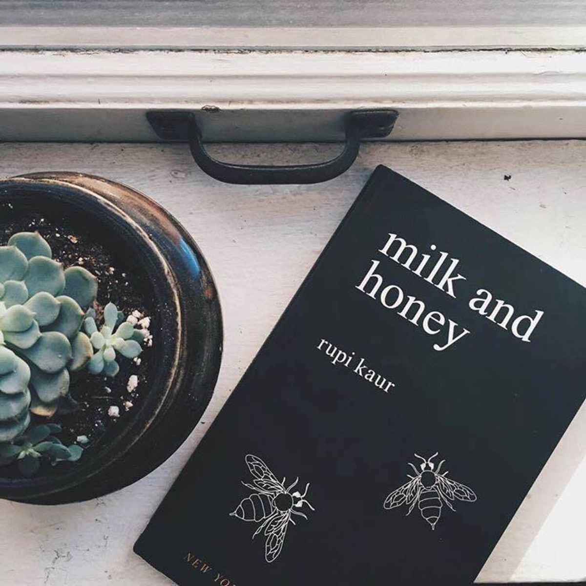 A Thank You To Rupi Kaur - How Milk And Honey Changed My Life