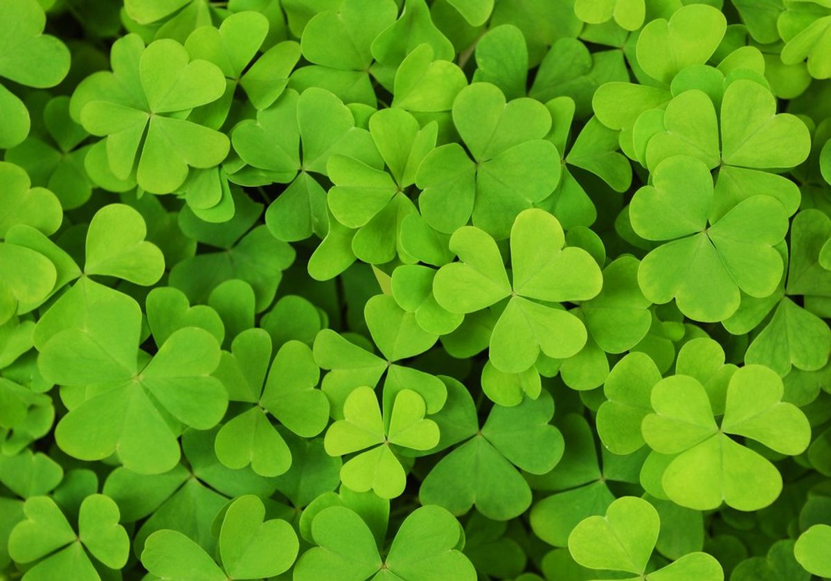 6 Reasons Why St. Patrick's Day Is The Best Holiday