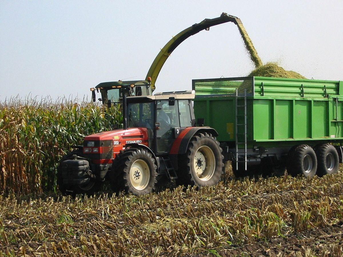 What It's Like To Be The Farmer's Daughter