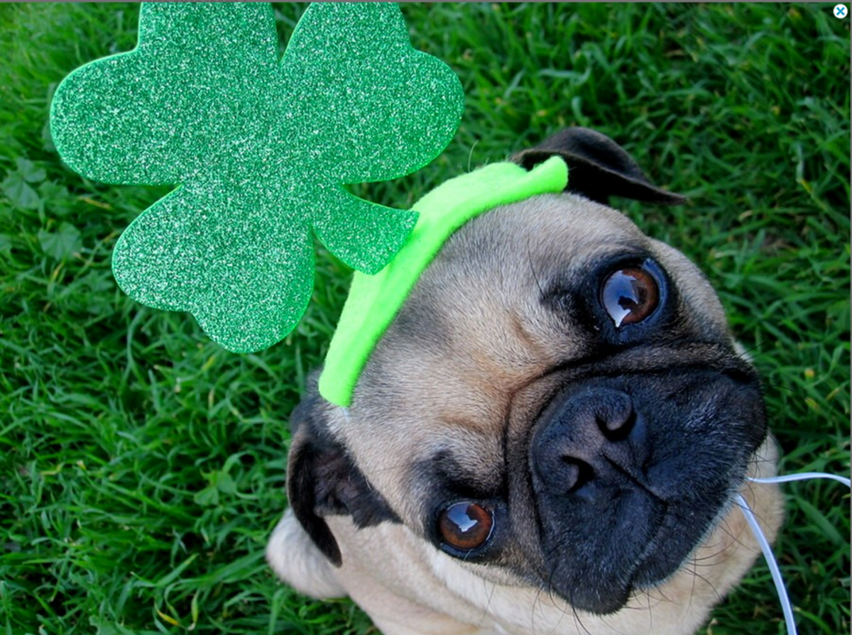 3 Ways To Celebrate St. Patrick's Day Without Drinking