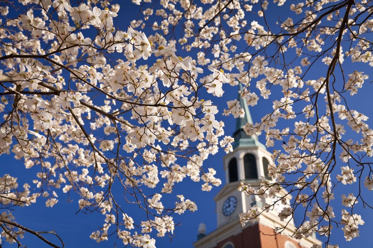 7 Reasons Why I Chose Wake Forest