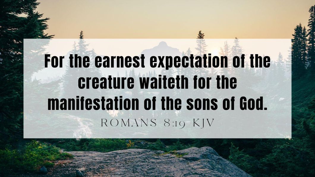 What Does It Mean That All of Creation Groans?