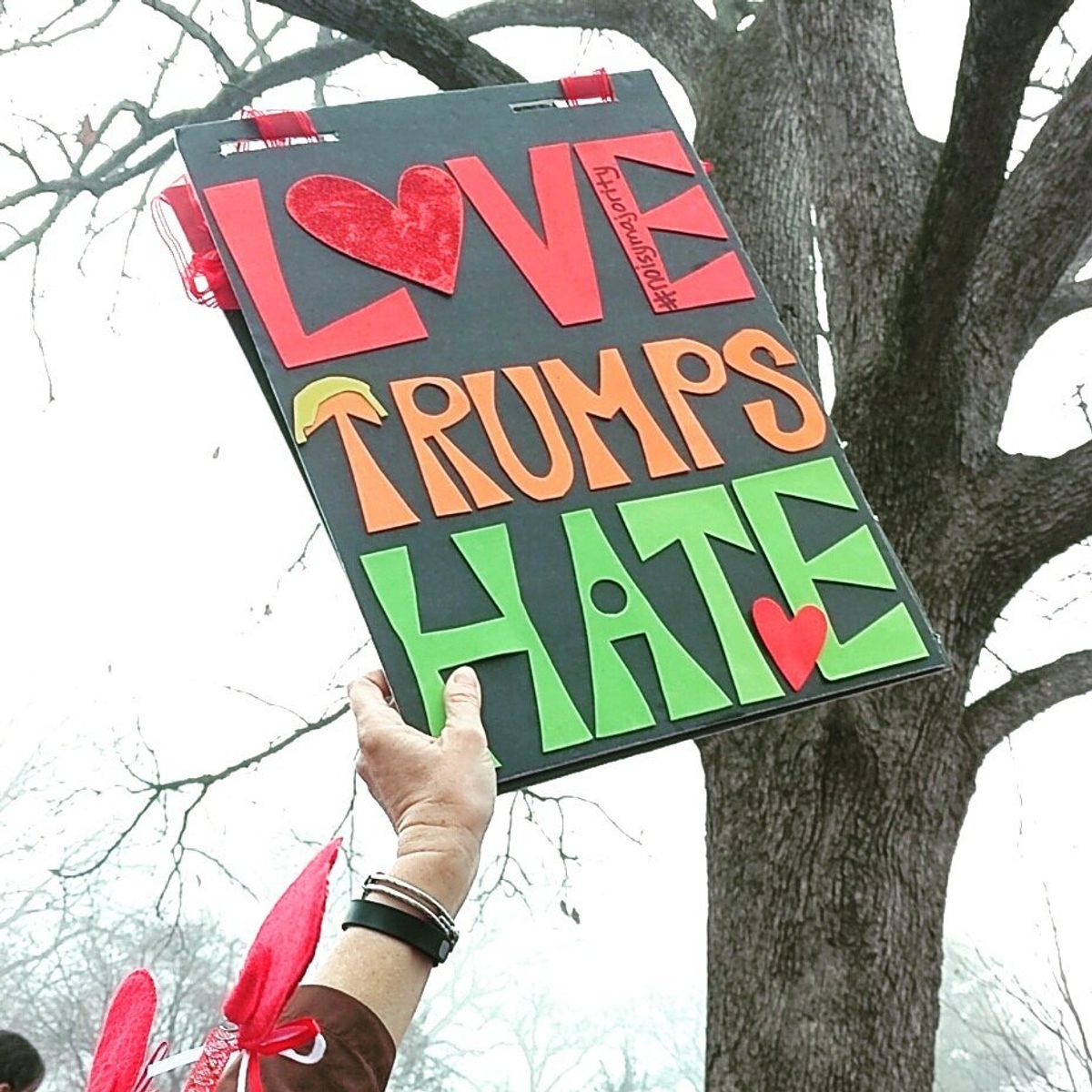 The Women's March in Raleigh