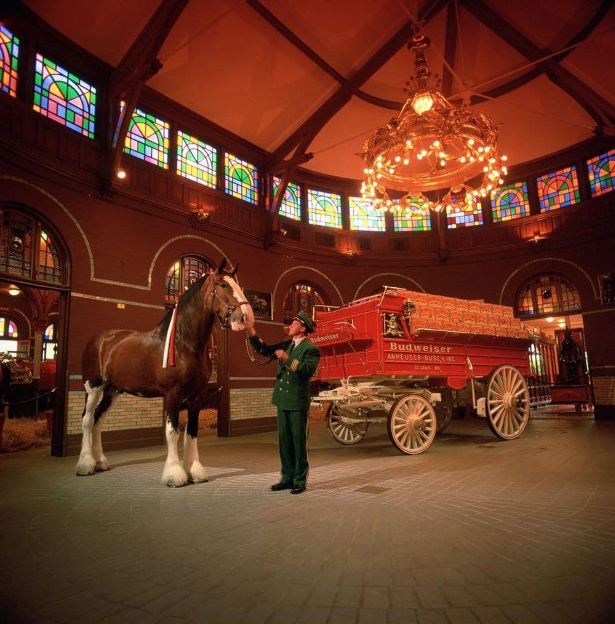 Inside The Anheuser-Busch Brewery