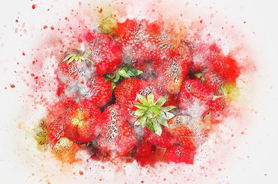 strawberry fields across the universe
