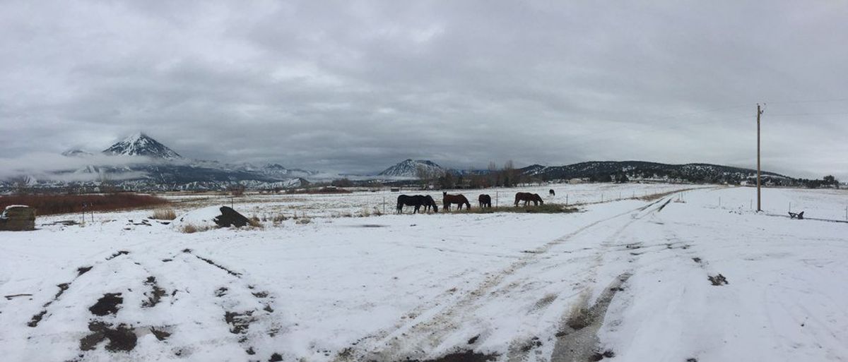 What Does Christmas In Colorado Like?