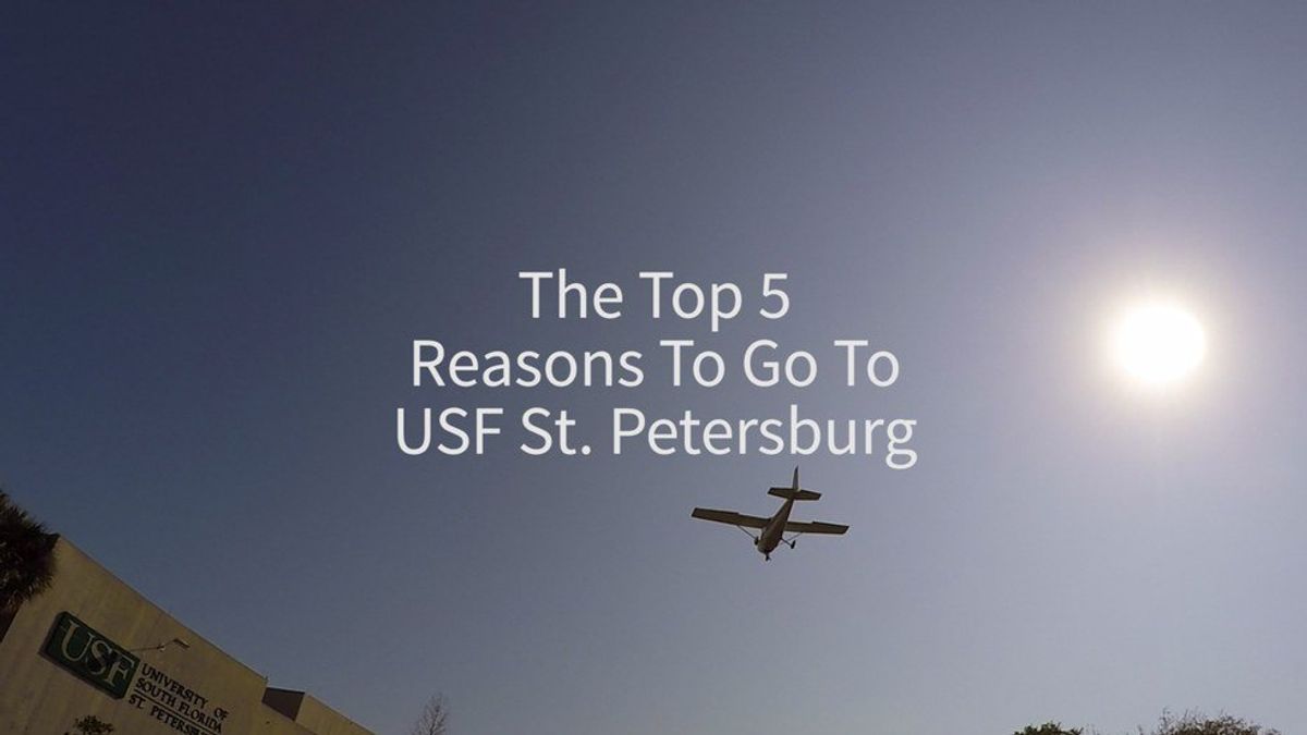 The Top 5 Reasons To Go To USF St. Petersburg