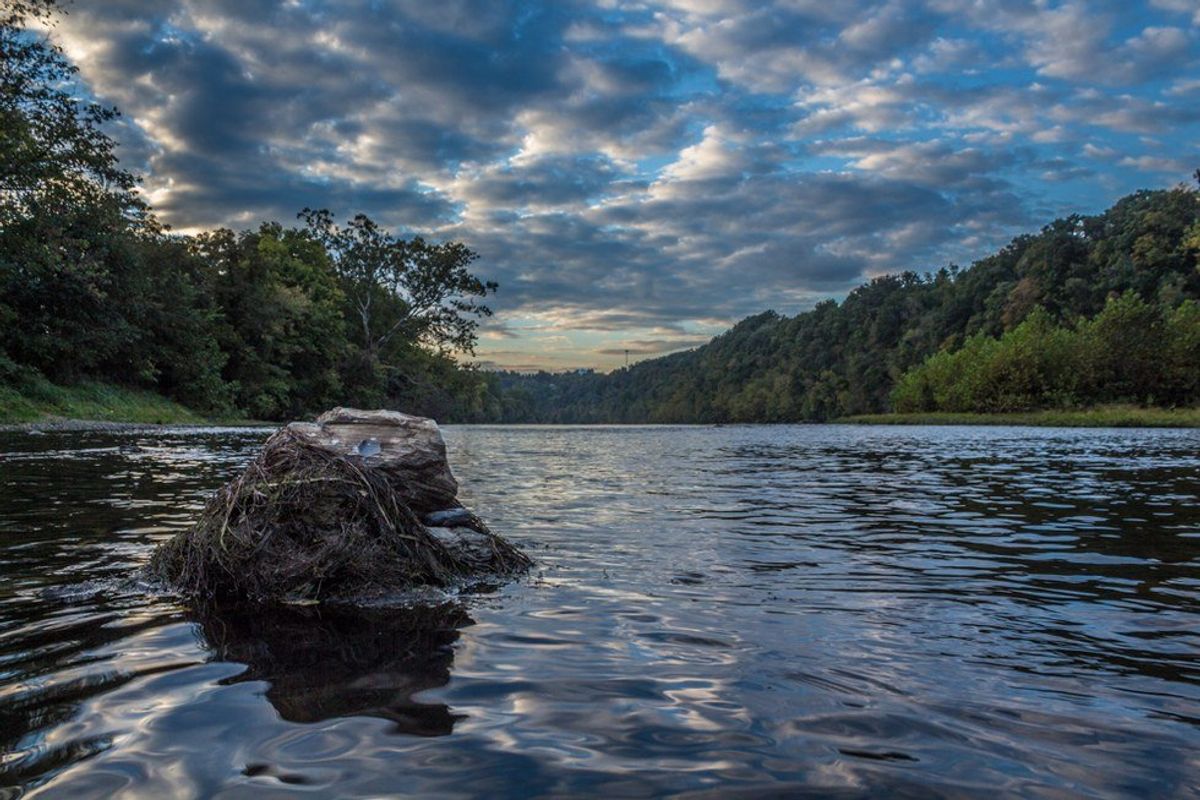 Video: Fall In Love With Fall In The New River Valley