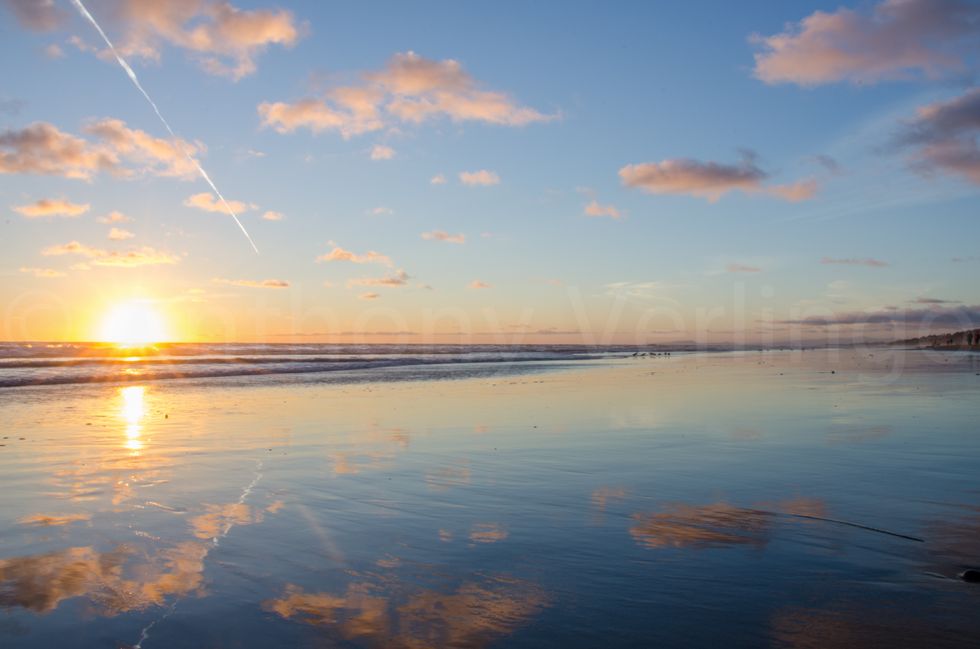 The UCSD Beach Guide