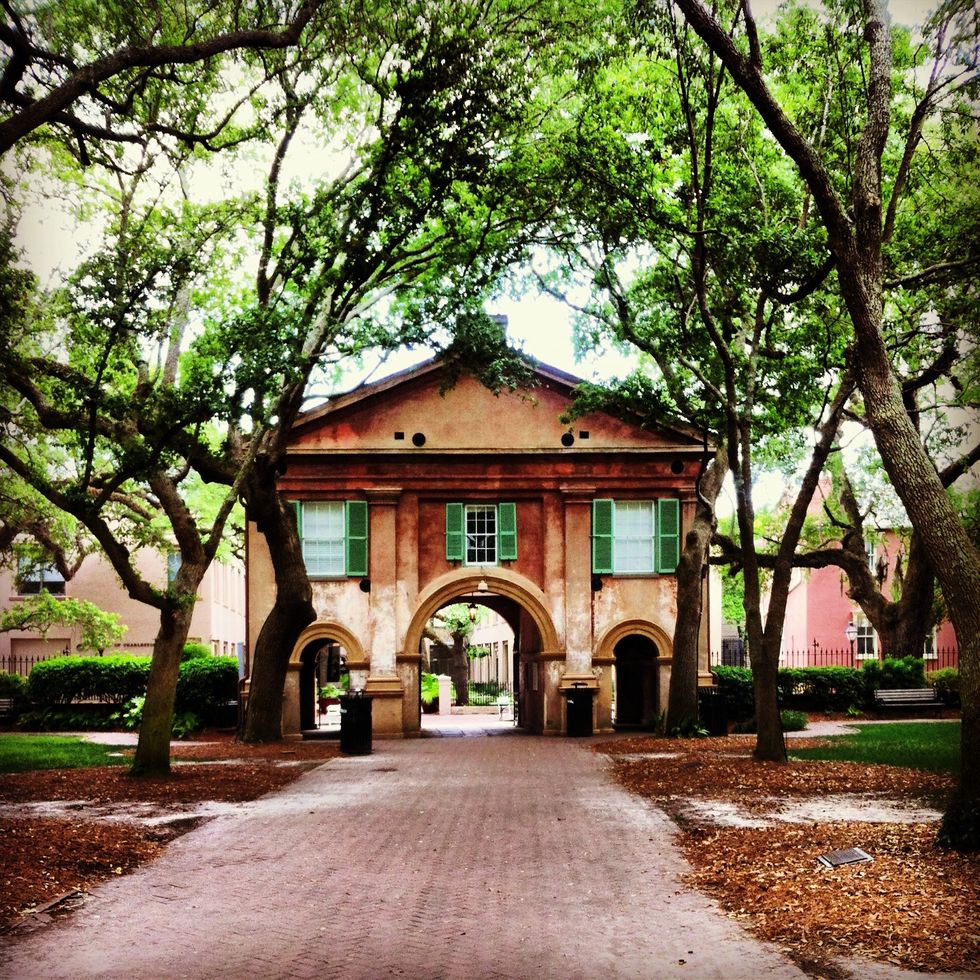 5 Things you need to survive your first week of classes at the College of Charleston