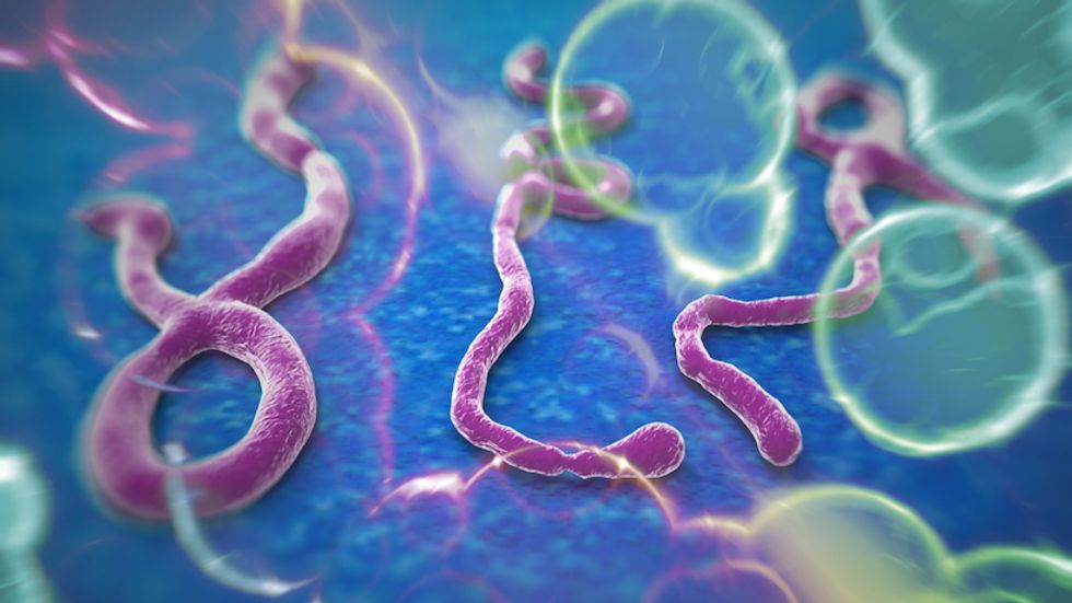 Everything You Need to Know About Ebola