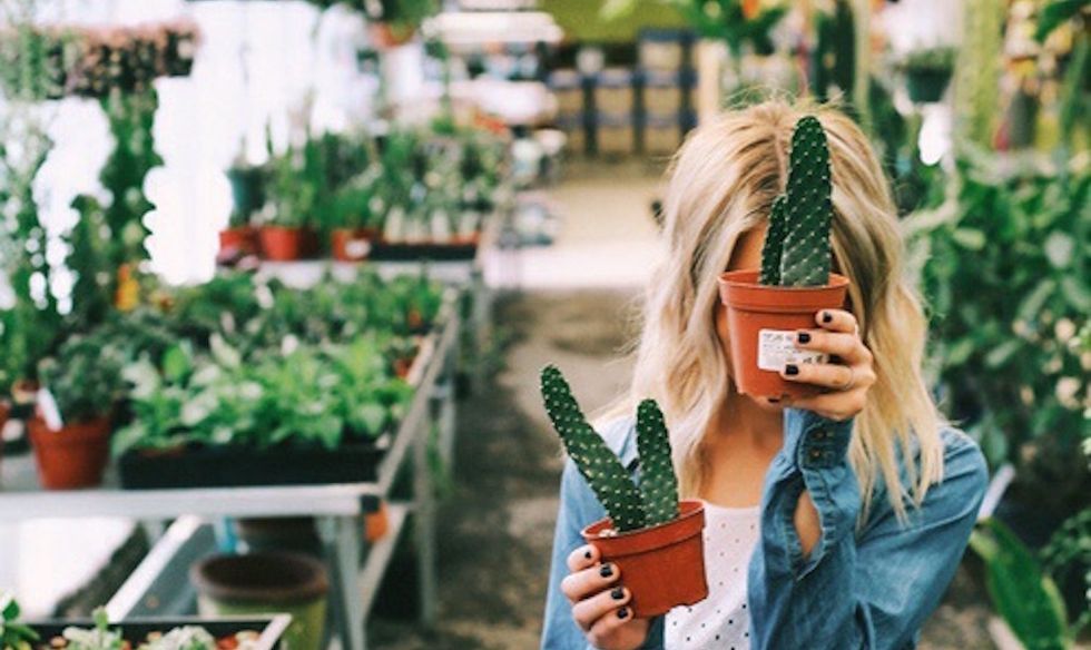 6 Reasons 'Plant Lady' Is The New 'Cat Lady' In 2017