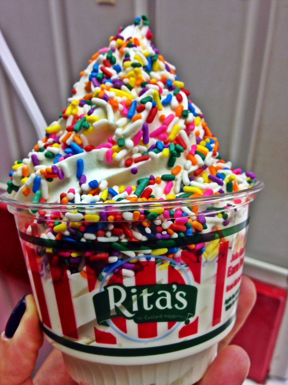 The Ultimate Guide For Rita's Rookies