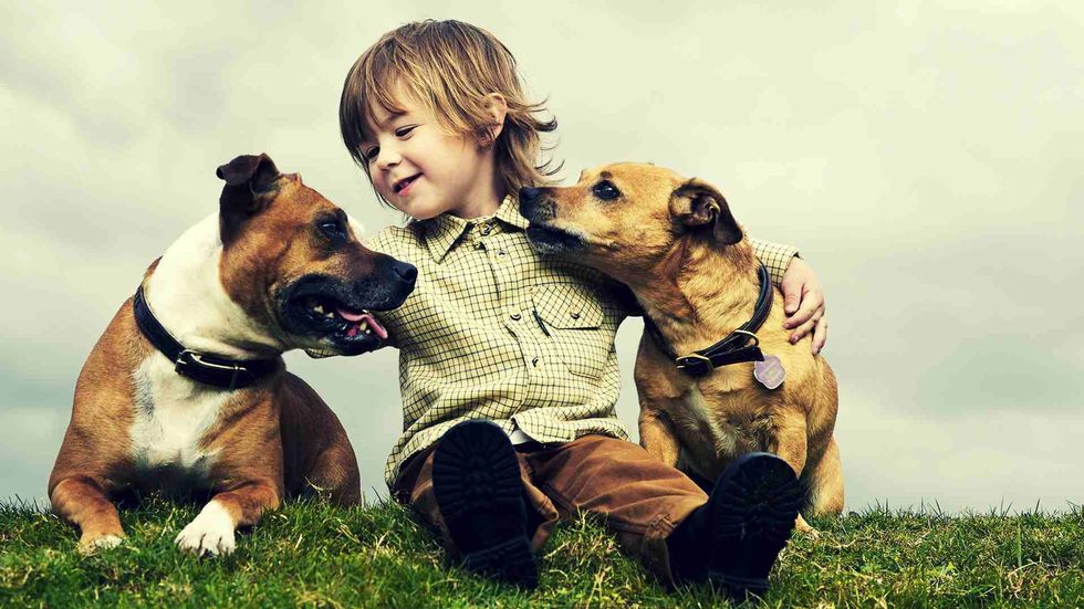 Why Every Kid Should Grow Up With A Pet