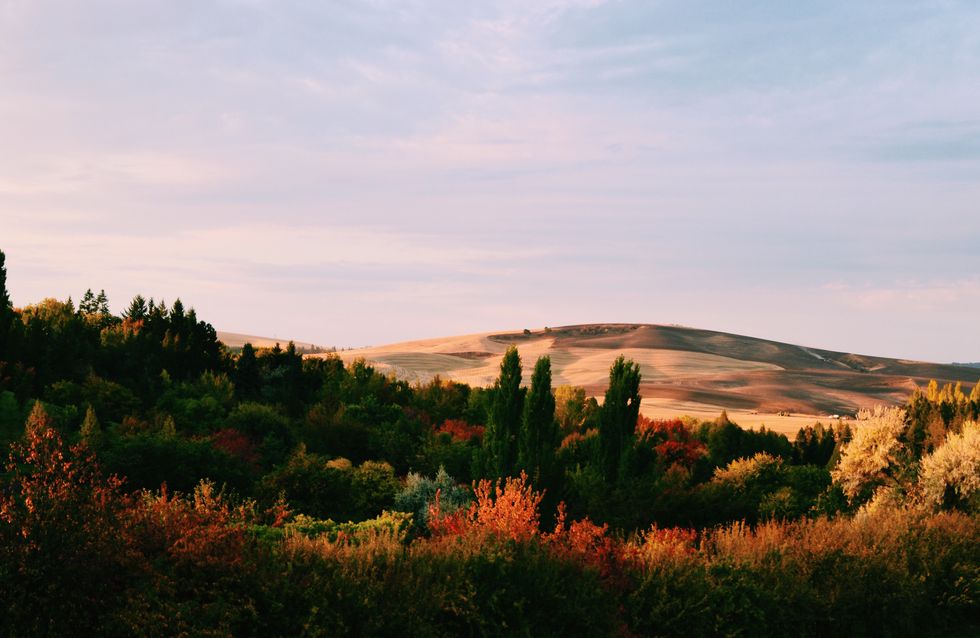 10 Reasons Why The Palouse Is Better In The Fall