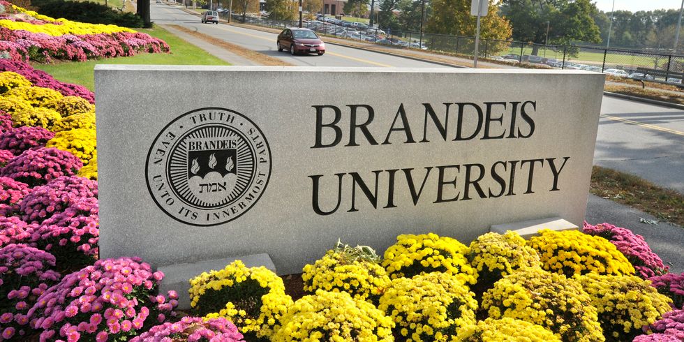 11 Things To Love About Brandeis