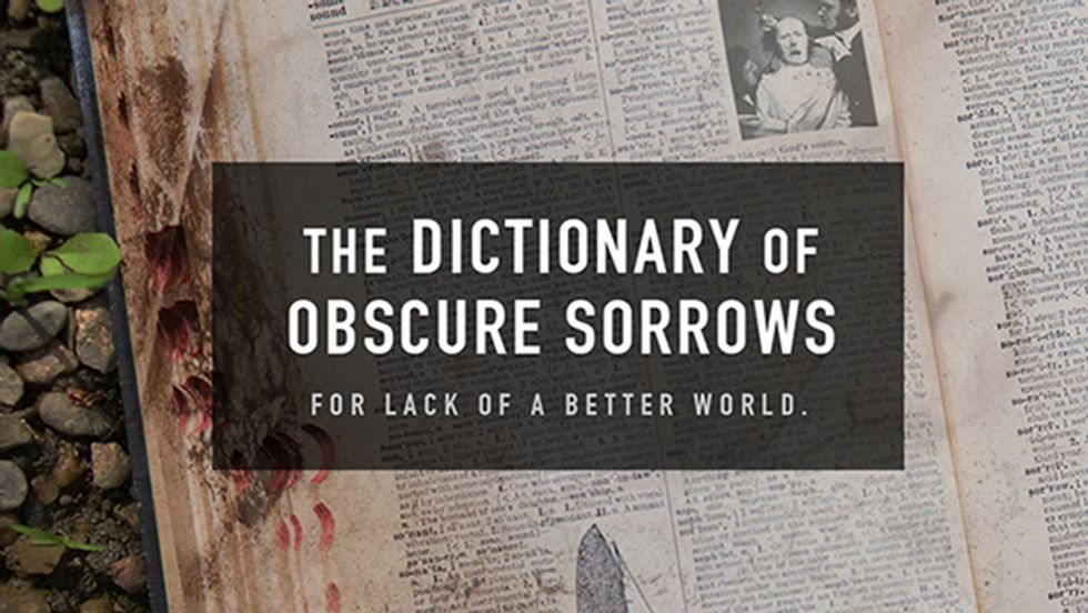 Dés Vu and The Dictionary of Obscure Sorrows