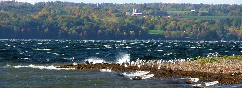 7 Awesome Facts About The Finger Lakes